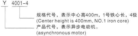 西安泰富西玛Y系列(H355-1000)高压YKK4505-6/500KW三相异步电机型号说明