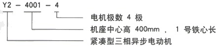 YR系列(H355-1000)高压YKK4505-6/500KW三相异步电机西安西玛电机型号说明